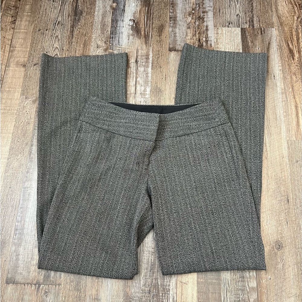 Express Women’s Slacks Business